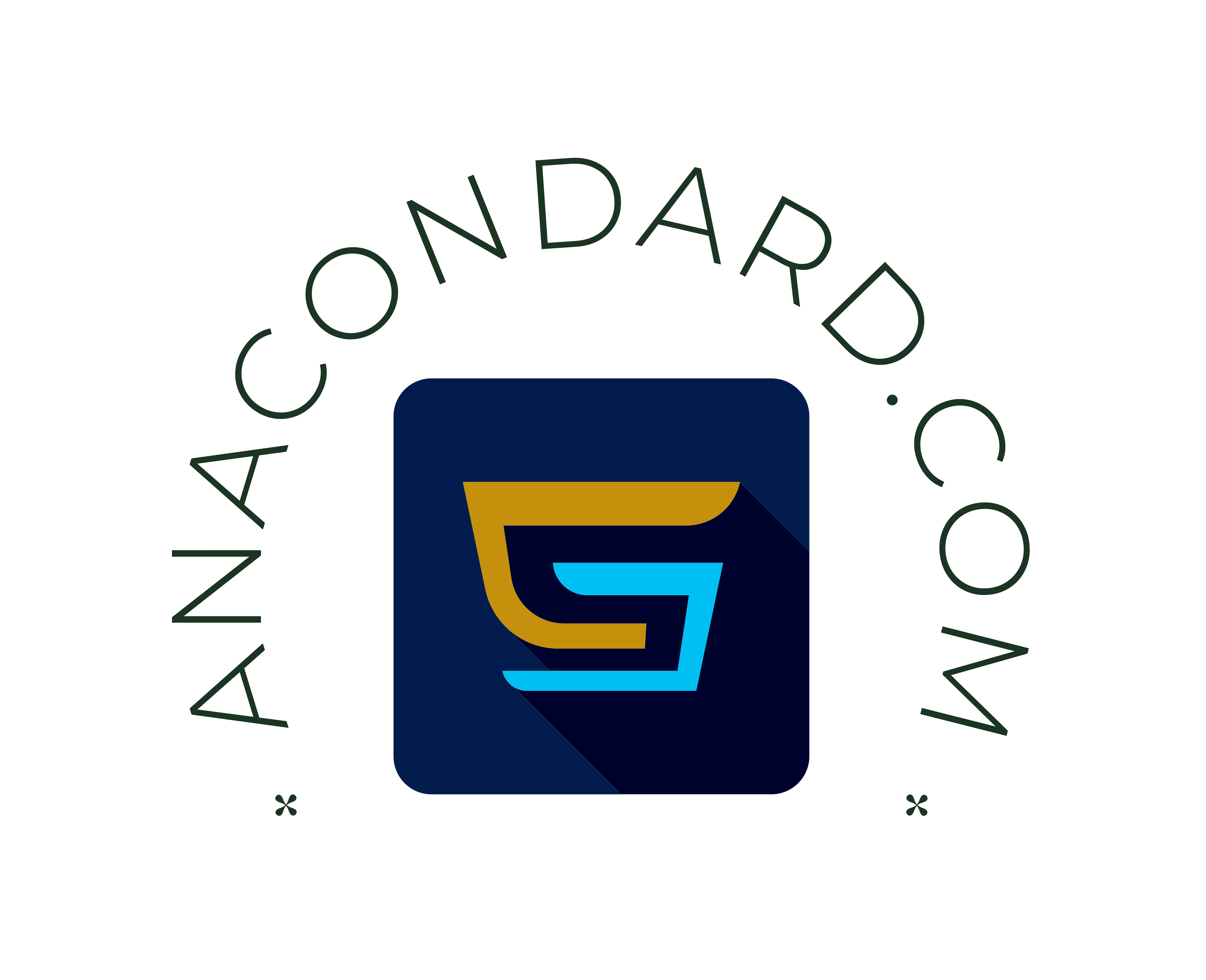 AnaVideosTransparentPic