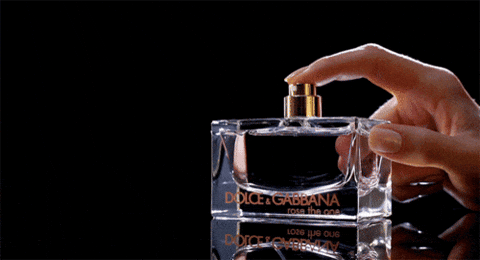 fragrance